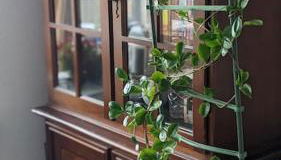 3rooms Apartment for Business or Family - Foto 2