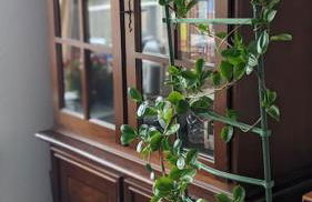 3rooms Apartment for Business or Family - Foto 2