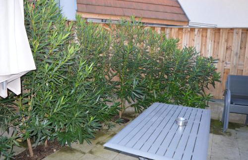 Juste un rayon de soleil Maison 6 personnes Alsace Centrale Proche Europa-park - Foto 22