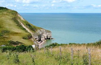 La Berlue Bayeux - Foto 63