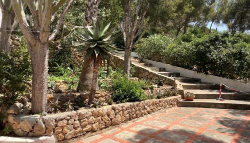 Gorgeous One Bed Apartment in Jesús - Foto 2, Garden