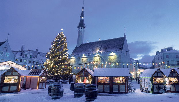 Tour a piedi alla scoperta del centro storico - Foto 4