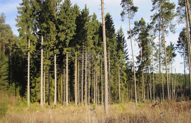 Apartment in Eifel Near Hiking Trails - Foto 39