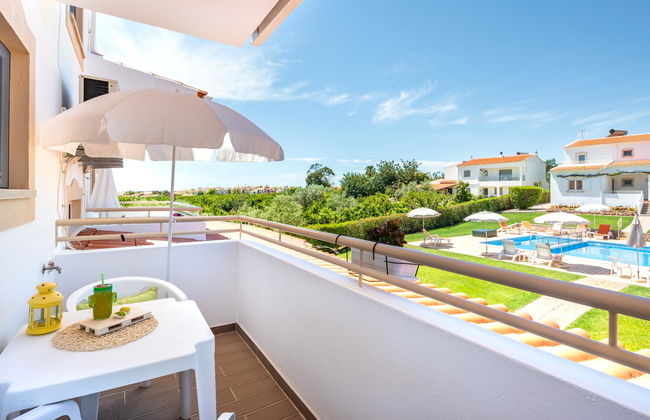 Flor da Laranja - Foto 50