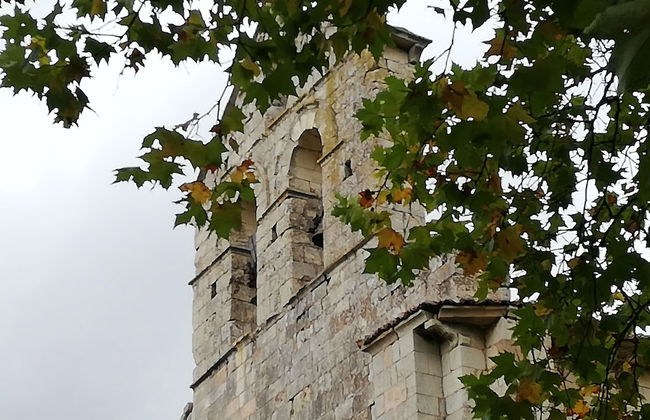 Finca Santa Eufemia - Foto 22