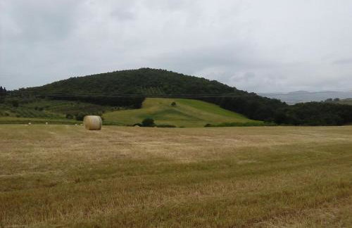 Carlo's Country House - Foto 24