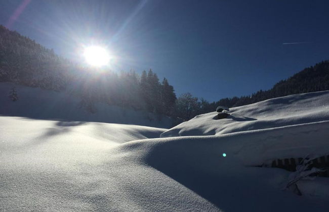 Apartment in Flachau Near Ski Lift - Foto 25