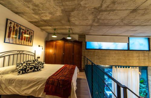 Eco-Lotf Vegueta - Foto 15