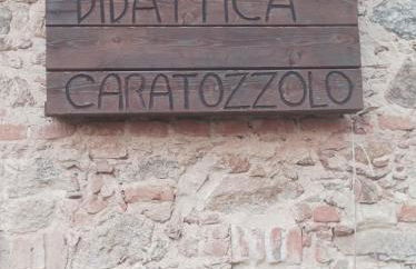 Agriturismo - fattoria didattica Caratozzolo - Foto 6