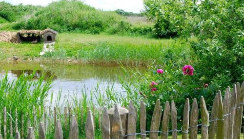 Ostseelandhaus mit Südterrasse und Teich OFC 07 - Foto 2