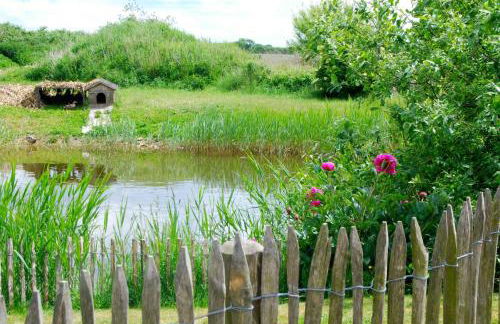 Ostseelandhaus mit Südterrasse und Teich OFC 07 - Foto 2