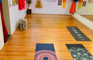 Tree House 6 bedrooms, 2 blocks from everything - Foto 49