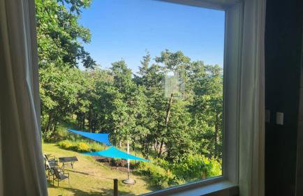 Panoramic River Views - Nature Framed in Every Window - Photo 48