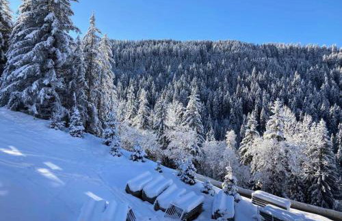 Résidence Ariondaz Hellebore - Superbe appartement exposé Sud au pied des pistes MAE-2554 - Foto 8