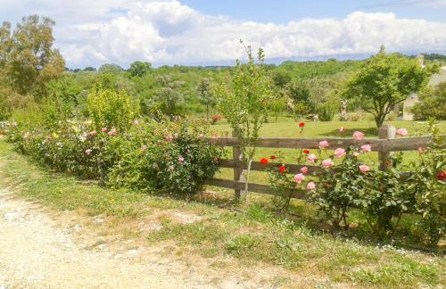 Aroggia Farm - Foto 69