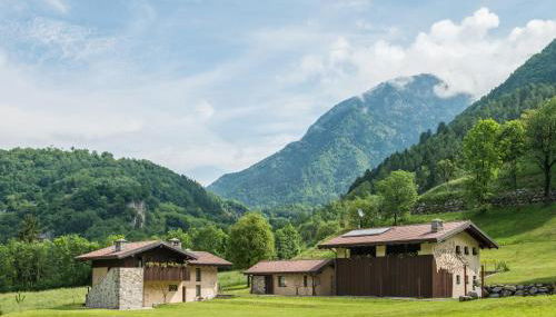 Quader nidi nel verde - Foto 3