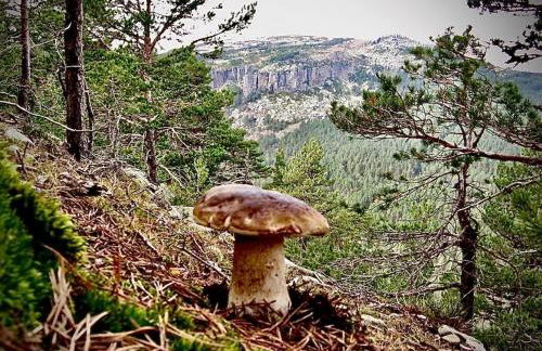 La casa del Alamo - Foto 35