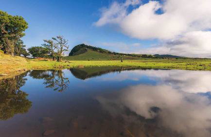 Ocean Breeze - Foto 33