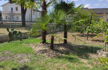 Da Francesca - Foto 10