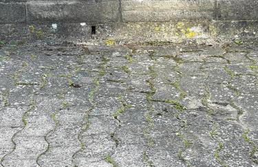 Ferien-Whg Bellevue nahe Steinhuder Meer mit Stellplatz - Foto 24