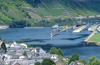 Moselwinzerhaus - Foto 15