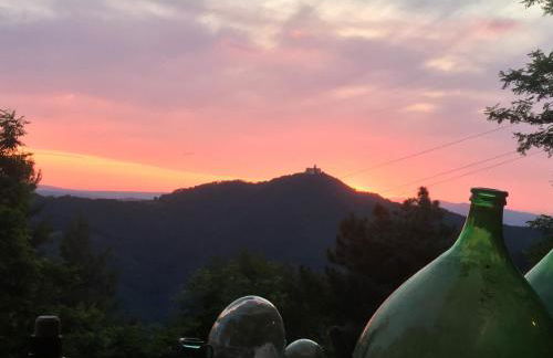 Lo Scricciolo - Foto 36