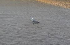 Trilocale Margine Rosso - Foto 37