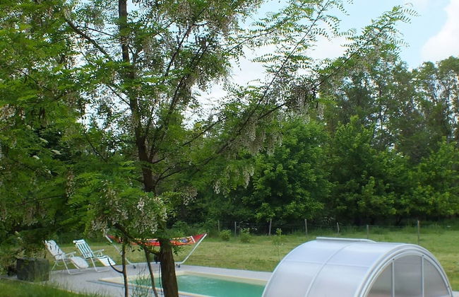 Ferienhaus Waldhof - Foto 10