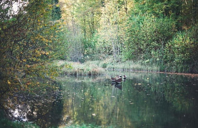 Bungalow by Lake Rabais in Virton - Foto 22