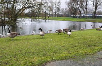 Willow View Boutique Streamside Retreat near A1 J59, Durham & Darlington - Photo 9