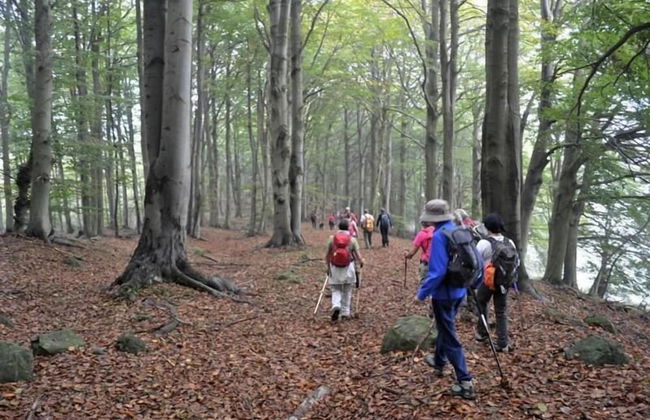 Locanda San Rocco - Foto 12