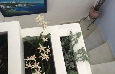 Studio Mare - Foto 30