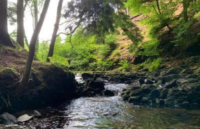 Wild Coastal Retreat at Troed Y Rhiw Aberporth, West Wales - Foto 45