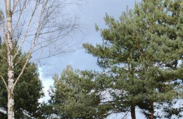 ZAGAJNIK Country Camp obok Suntago - Photo 22