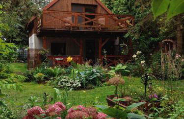 Dziki brzeg Jezioraka - Foto 2