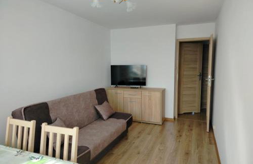 W Dolinie Drwęcy przy Dworcowej - Foto 3