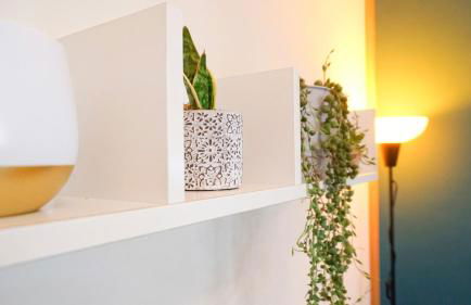 Lighthouse Ladispoli al centro - Foto 8