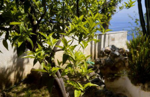 Malvazios Villas #3 - Foto 65