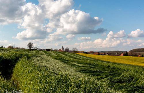 Ferienhaus TierbachLodge - Foto 3
