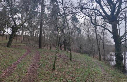 Casa Rural A Telleira - Foto 23