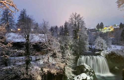 Apartment Garden - Foto 51