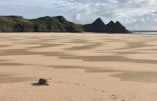 Stunning beach view apartment in Langland - Foto 34