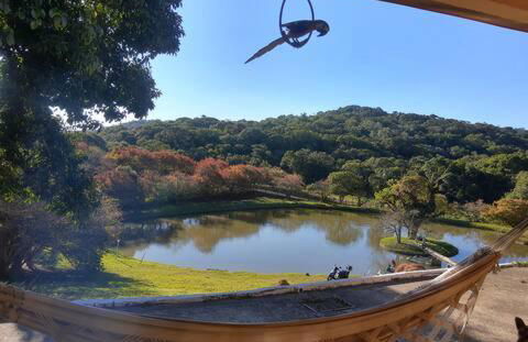 Natureza, paz no sítio - Foto 34