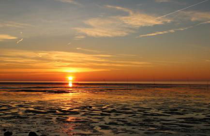 FeWo de Lark - Foto 14