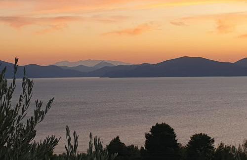 Olive Grove House - Foto 45