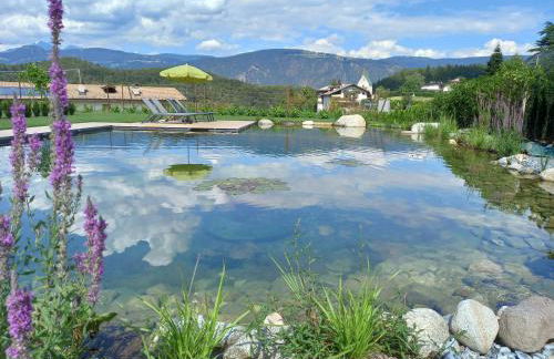 Ansitz Lidl - Foto 31