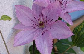 Ferienwohnung Schmied - Foto 19