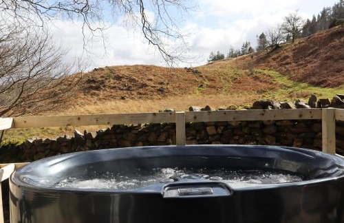 Ash Cabin with Hot Tub - Foto 29