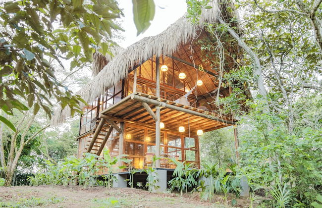 Hacienda Boutique - Photo 46