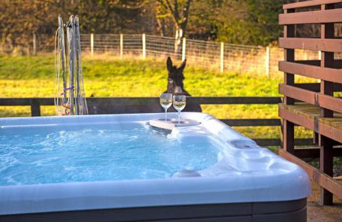 Glen Bay - 2 Bed Lodge on Friendly Farm Stay with Private Hot Tub - Foto 1